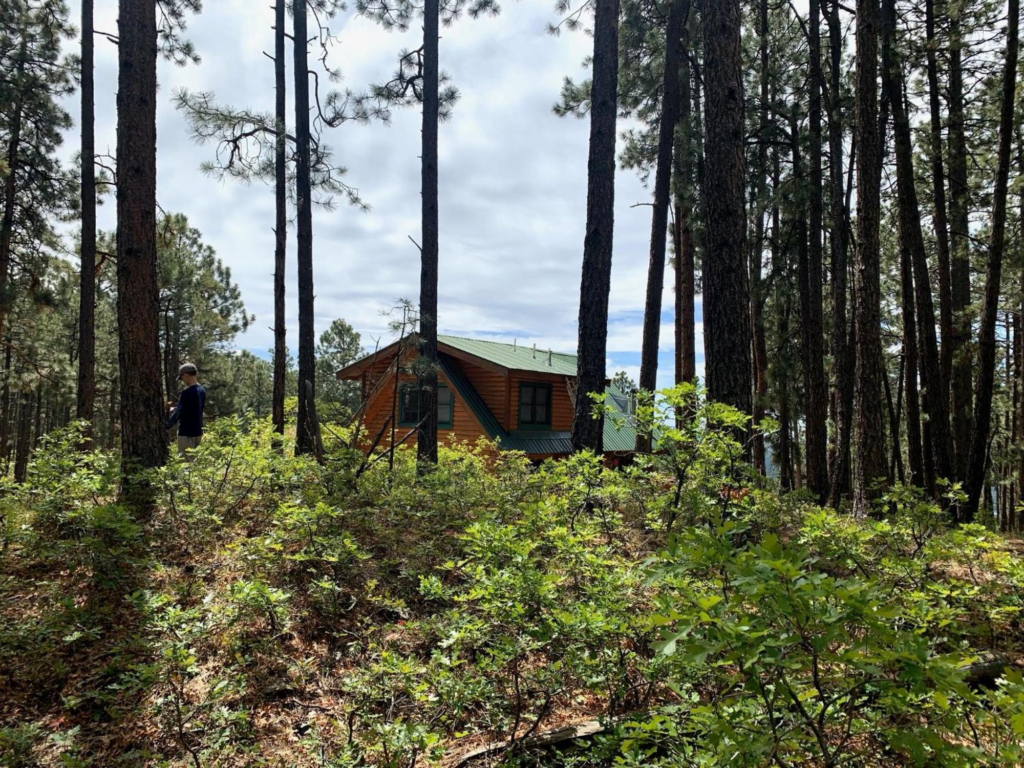 Bear Paw Lodge & Vacation Homes Vallecito Екстериор снимка